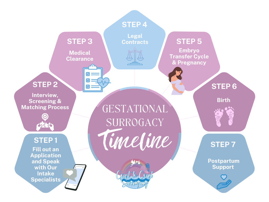 Illustrated timeline showing the surrogacy process: application and intake consultation, screening and matching, medical clearance, legal contracts, embryo transfer and pregnancy, birth, and postpartum support.